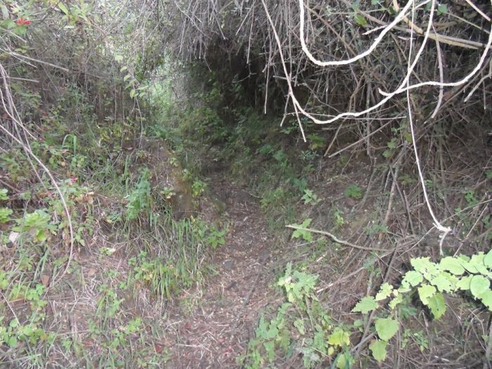 Caminata al volcán Cerro Quemado, Quetzaltenango