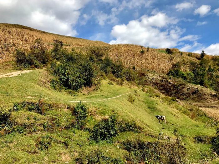 Trekking from Xela to Lake Atitlan